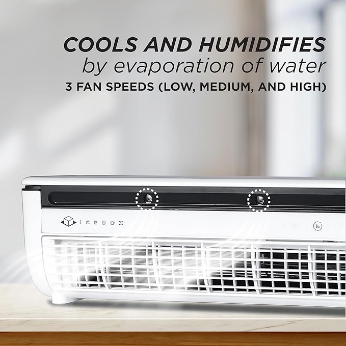 IceBox Portable Air Cooler – Fan & Mist with Remote Control
